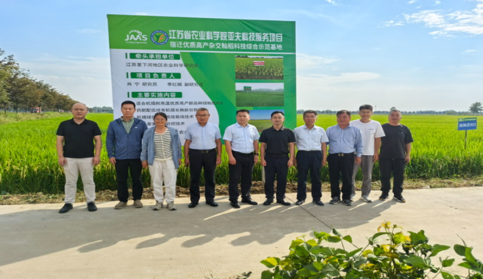 亚夫科技服务“宿迁优质高产杂交籼稻科技综合示范基地”项目启动会在宿豫顺利召开